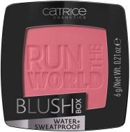 Румяна Catrice Blush Box №40 Berry 6 г