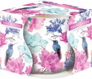 Свеча ароматическая sn71S/49 Прикосновение природы Bispol Свеча ароматическая sn71S/49 Прикосновение природы Bispol