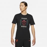 Футболка Nike LFC M NK TEE VOICE DB4650-010 р.S черный