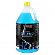 Омыватель стекла Ekokemika Black Line Winter SCREENWASH зима -12 °С 3,79 л