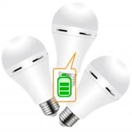 Лампа аккумуляторная LED NOAS NOAS YL95-07113 3 шт/уп 7 Вт A60 E27 220 В 6500 К 59425