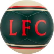 Футбольний м'яч Nike Liverpool FC Pitch DC2414-238 р.5