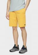 Шорты 4F D4L20-SKMD210-71S р. M синий