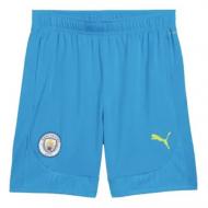 Шорты Puma MCFC TRAINING SHORTS 77755011 р. L синий