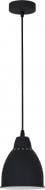 Подвес Arte Lamp BRACCIO A2054SP-1BK 1x60 Вт E27 черный