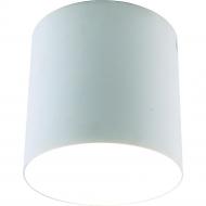 Светильник потолочный Arte Lamp Tubo 1465/03 PL-1 9 Вт белый