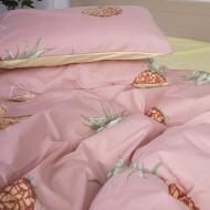 Наволочка Ranforce Elite 17-0075 Merian 45x45 см мультиколор MirSon