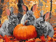 Картина по номерам Приключения кролика ©art_selena_ua 30x40 см Идейка