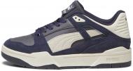 Кроссовки мужские демисезонные Puma SLIPSTREAM HERITAGE 39210804 р.42 черные