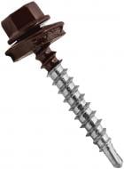 Саморіз зі свердлом по дереву 4.8x35 мм 250 шт шоколад RAL 8017 EXPERT FIX + біта М8х50