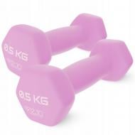 Гантели виниловые 4fizjo Classic 2 x 0.5 кг (P-5907739311948) розовый