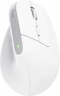 Мишка Trust Bayo + Multidevice Ergonomic white (25399_TRUST)