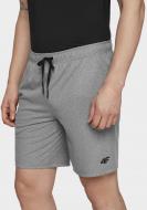 Шорты 4F D4L20-SKMF301-25M р. 3XL серый Шорты 4F D4L20-SKMF301-25M р. 3XL серый