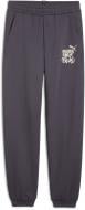Брюки Puma ESS+ MID 90S SWEATPANTS FL B 68187869 р. 176 серый