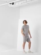 Шорты 4F R4L21-SKMD903-25S р. L серый