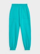Брюки 4F TROUSERS CAS F261 4FAW22TTROF261-35S р. S бирюзовый