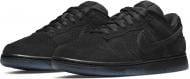 Кроссовки мужские Nike DULOSP DO9329-001 р.41 черные