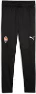 Брюки Puma FCSD Training Pants 77860406 р. 2XL черный