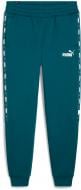 Штани Puma ESS+ TAPE SWEATPANTS FL CL 84904208 р. 2XL зелений