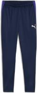 Штани Puma INDIVIDUALLIGA TRAINING PANTS 65951701 р. 3XL синій