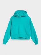 Джемпер 4F SWEATSHIRT F419 4FAW22TSWSF419-35S р.S бирюзовый Джемпер 4F SWEATSHIRT F419 4FAW22TSWSF419-35S р.S бирюзовый