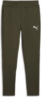 Брюки Puma EVOSTRIPE PANTS DK 68170270 р. L хаки