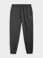 Брюки 4F TROUSERS CAS M291 4FAW22TTROM291-23M р. M серый