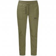 Брюки Jack Wolfskin MOJAVE PANTS W 1504752_4511 р. L хаки