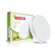 ВИТРИНА! Светильник светодиодный Eurolamp Practical Light N26 18 Вт белый 4000 К LED-ER-18W-N26