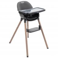 Стульчик для детей Graco 3 в 1 Presti 3AJ999CHCEU