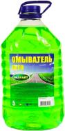 Омивач скла Oil Right 4802630 Apple літо 5 л