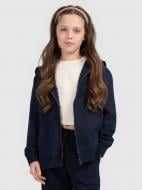 Джемпер 4F SWEATSHIRT F1861 4FJWMM00TSWSF1861-31S р.140 синий