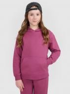 Джемпер 4F SWEATSHIRT F1953 4FJWAW25TSWSF1953-50S р.140 фиолетовый