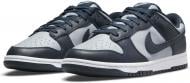 Кроссовки мужские Nike Dunk Low Retro DD1391-003 р.49,5 серые