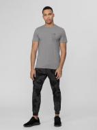 Брюки 4F D4L21-SPMD500-23A р. S серый