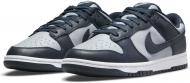 Кросівки чоловічі Nike Dunk Low Retro DD1391-003 р.47 сірі