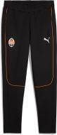 Штани Puma FCSD CASUALS PANTS 77786202 р. L чорний