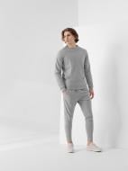 Брюки 4F R4L21-SPMD901-25S р. XS серый Брюки 4F R4L21-SPMD901-25S р. XS серый