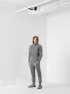 Штани 4F R4L21-SPMD902-23S р. XS темно-сірий