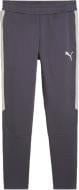 Штани Puma EVOSTRIPE PANTS DK 68170269 р. M сірий