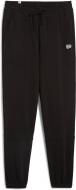 Брюки Puma DOWNTOWN RE:COLLECTION SWEATPANTS TR 62676101 р. M черный