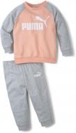 Спортивний костюм Puma Minicats ESS Raglan Jogger 58486126 сірий