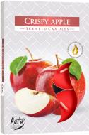Набор свечей ароматических Bispol с запахом Яблоко 6 шт. P15-91