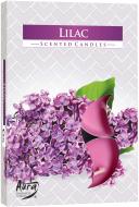 Набор свечей ароматических Bispol с запахом Сирень 6 шт. P15-38