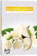 Набор свечей ароматических Bispol с запахом Жасмин 6 шт. p15-76