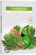 Набор свечей ароматических Bispol с запахом Хвоя 6 шт. P15-82