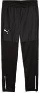 Брюки Puma INDIVIDUALWINTERIZED TRAINING PANT 65956901 р. S черный