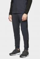 Брюки 4F D4L20-SPMTR210R-31M р. 2XL черный