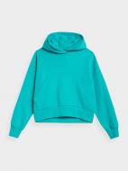 Джемпер 4F SWEATSHIRT F419 4FAW22TSWSF419-35S р.M бирюзовый