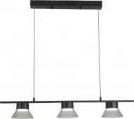 Люстра подвесная Luminaria Adel 3xGX53 прозрачный с черным ADEL P 3xGX53 BLACK Люстра подвесная Luminaria Adel 3xGX53 прозрачный с черным ADEL P 3xGX53 BLACK